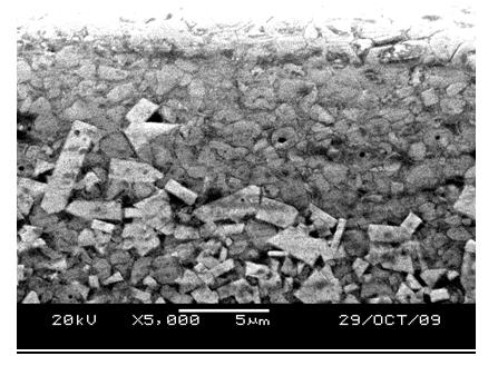 Functionally gradient hard alloy with cubic phase-rich surface and preparation method thereof