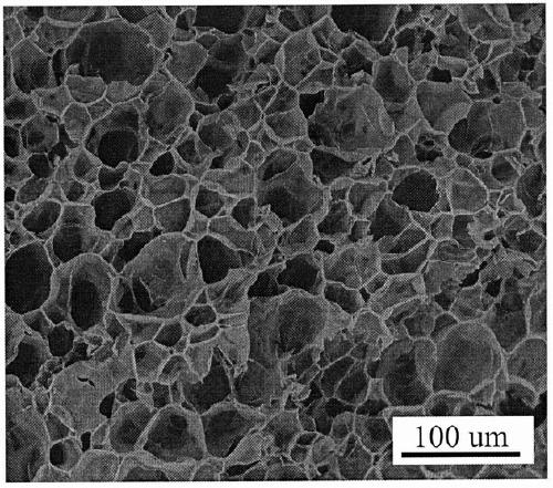 Polyvinyl alcohol/graphene composition microporous foaming material