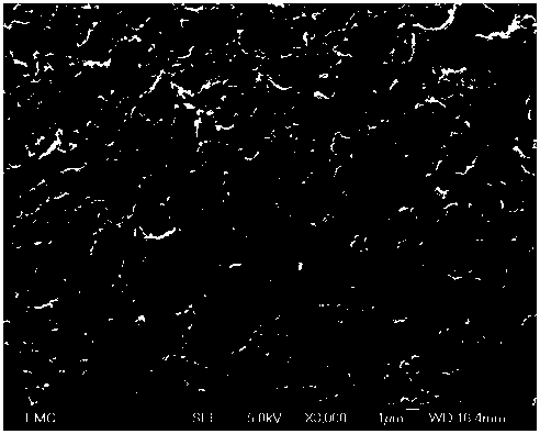 A kind of solid acid radical electrode based on doped polyaniline and preparation method thereof