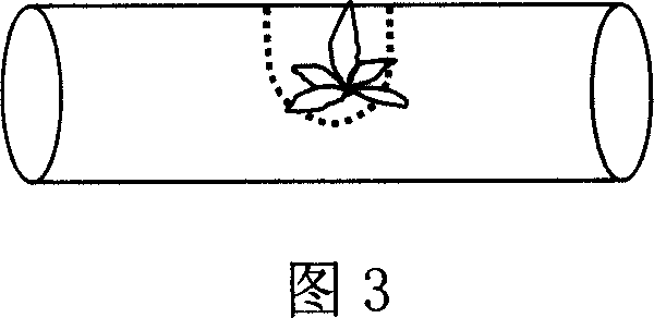 Method for preventing early floriation and few leaves of flue-cured tobacco