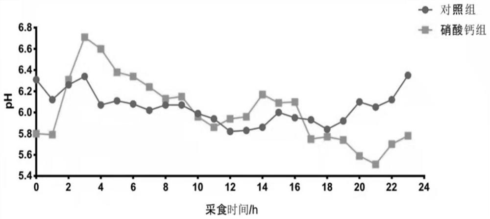 Application of calcium nitrate in relieving acidosis of Hu sheep