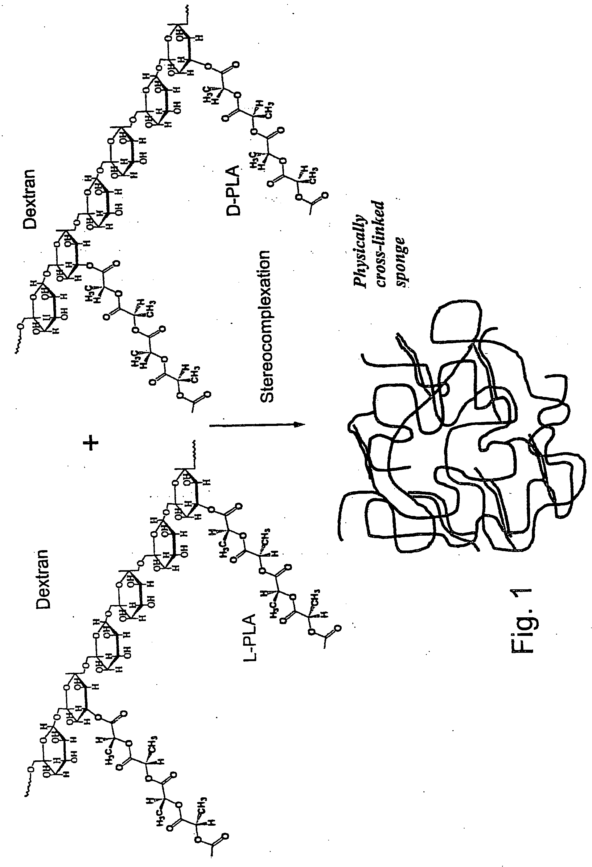 Composite scaffolds and methods using same for generating complex tissue grafts