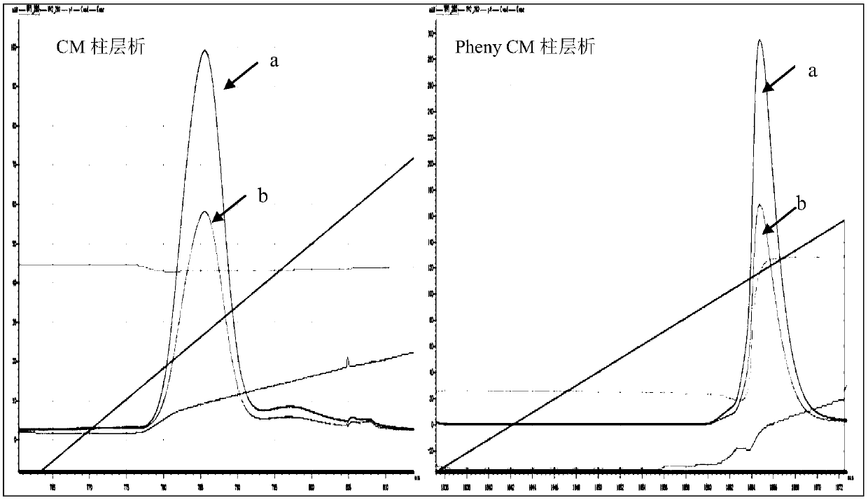 A method for optimizing the nucleotide sequence and efficient soluble expression of recombinant human interleukin-2