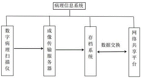 Process approach suitable for pathological information system of nephrology department