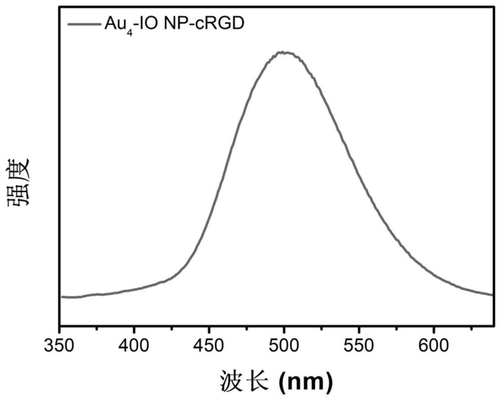 Targeting peptide modified gold cluster iron oxide assembly material radiotherapy sensitizer