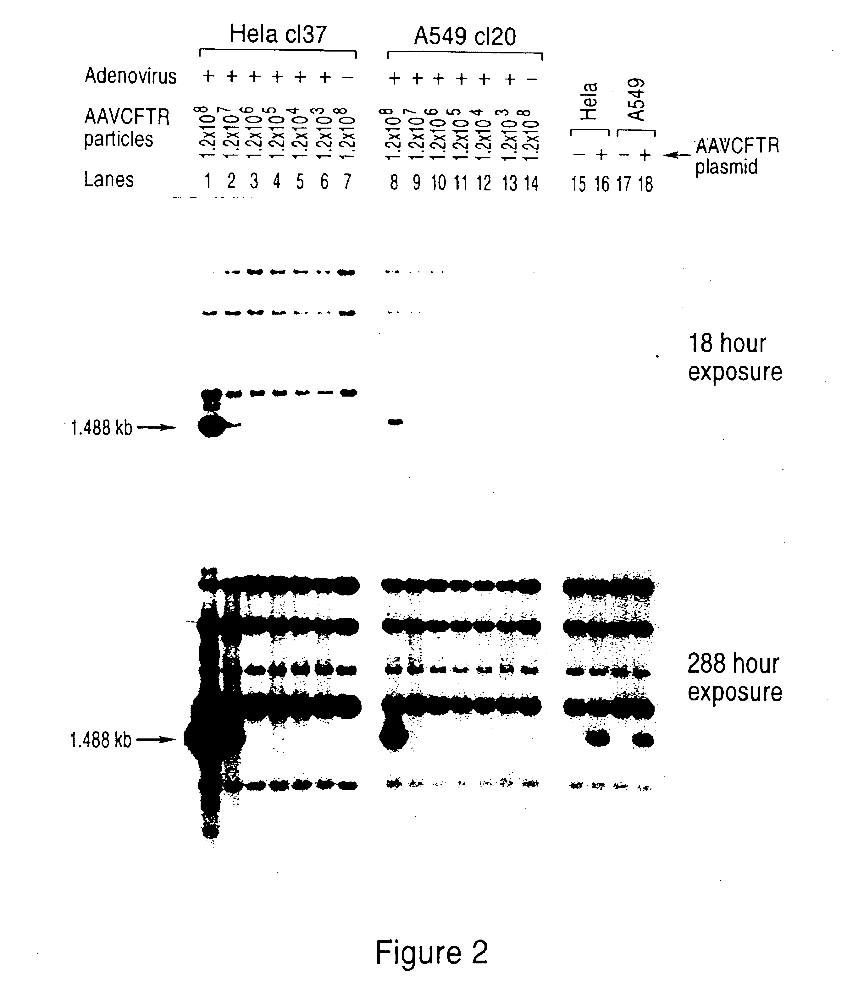 Packaging cell lines for generation of high titers of recombinant AAV vectors