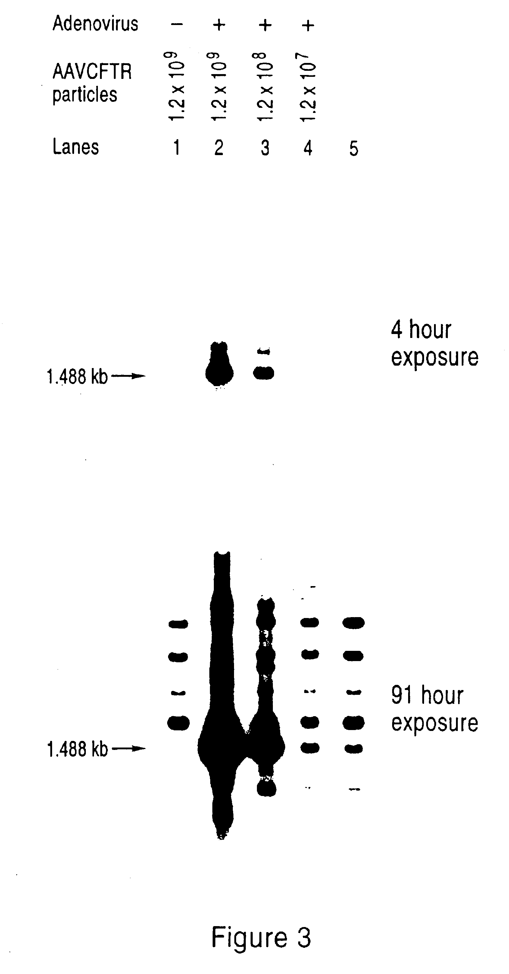 Packaging cell lines for generation of high titers of recombinant AAV vectors