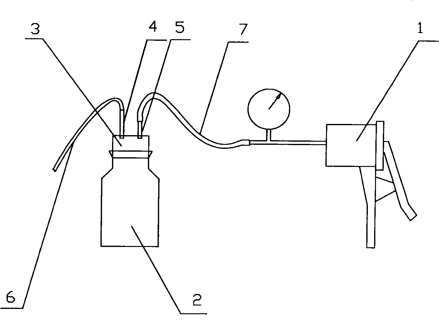 Method and apparatus for collecting water sample in aquipectenirradiuns cultivation cage