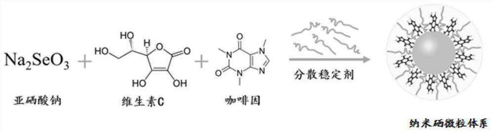 Nano-selenium particle system, preparation method and application thereof, regulatory immune cells and pretreatment method of regulatory immune cells