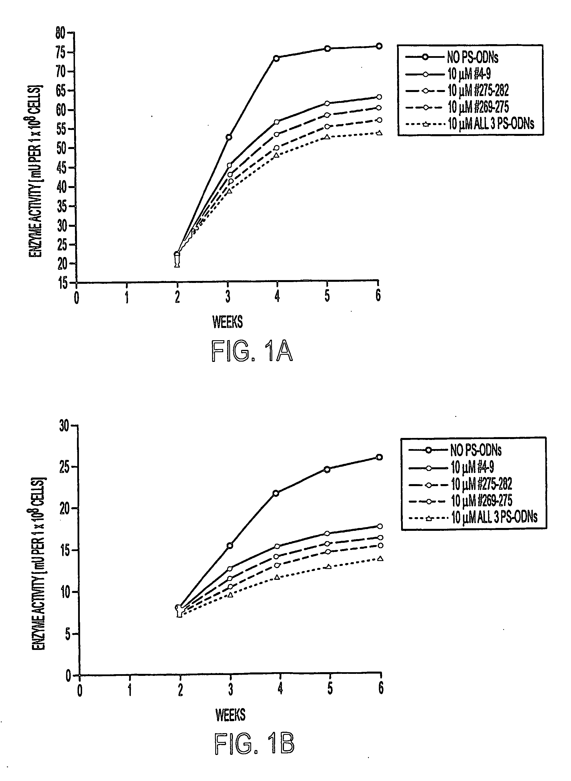 Treatment of mycobacterium tuberculosis with antisense oligonucleotides