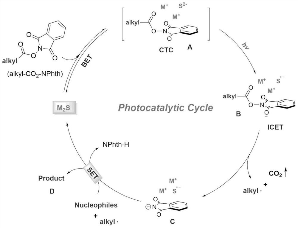 Method for photo-induced decarboxylation alkylation of alkyl-active carboxylic ester