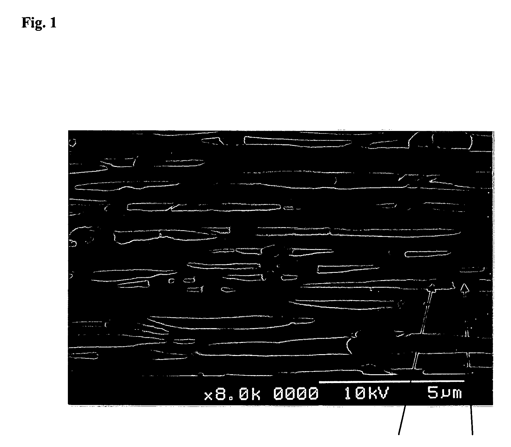 Biaxially oriented white polypropylene film for thermal transfer recording and receiving sheet for thermal transfer recording therefrom