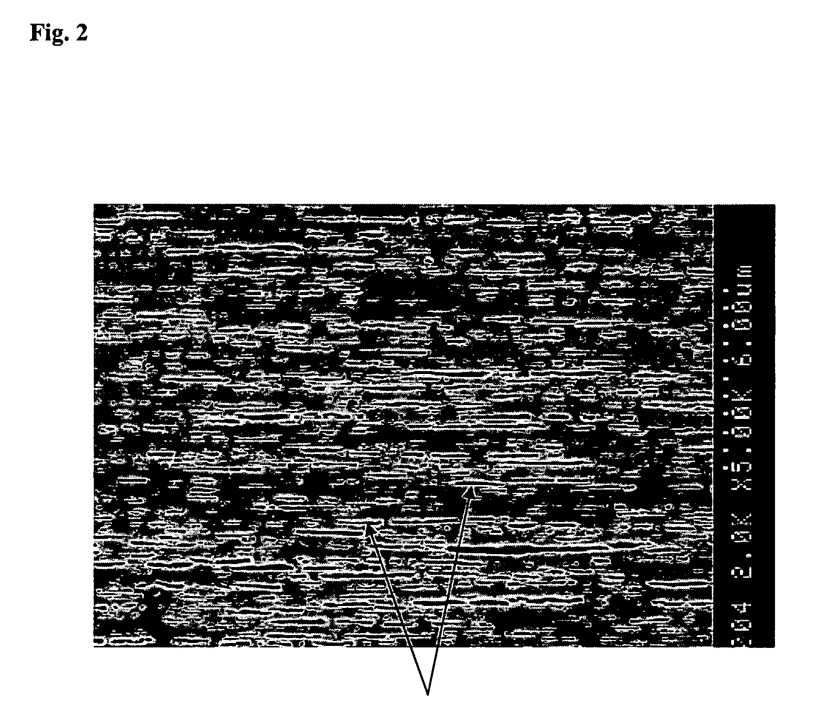 Biaxially oriented white polypropylene film for thermal transfer recording and receiving sheet for thermal transfer recording therefrom