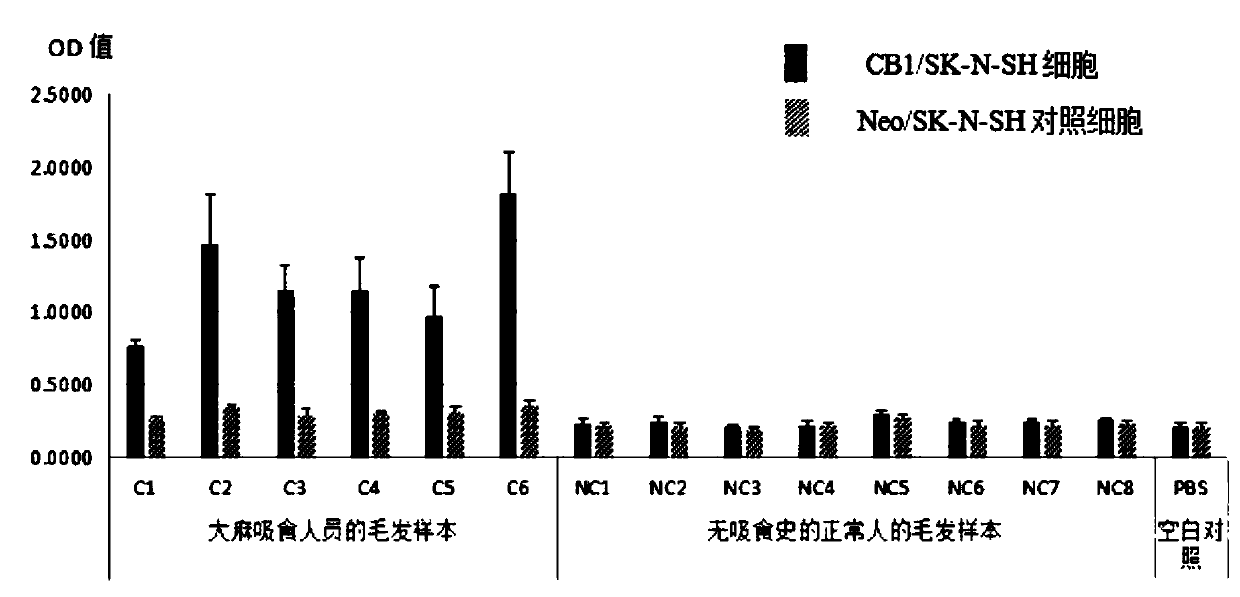 Method for detecting cannabinoid active substance based on cell dopamine release effect and detection kit of cannabinoid active substance based on cell dopamine release effect