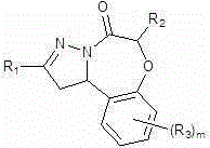 Tricyclo-pyrazole [1,5-d] [1,4] benzo oxazepine-one derivatives and preparation method and application thereof