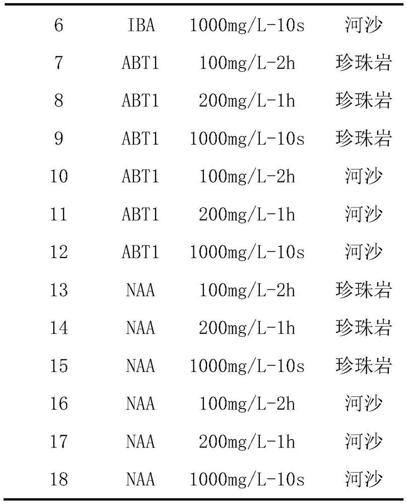 Method for promoting tilia mandshurica twig cutting rooting