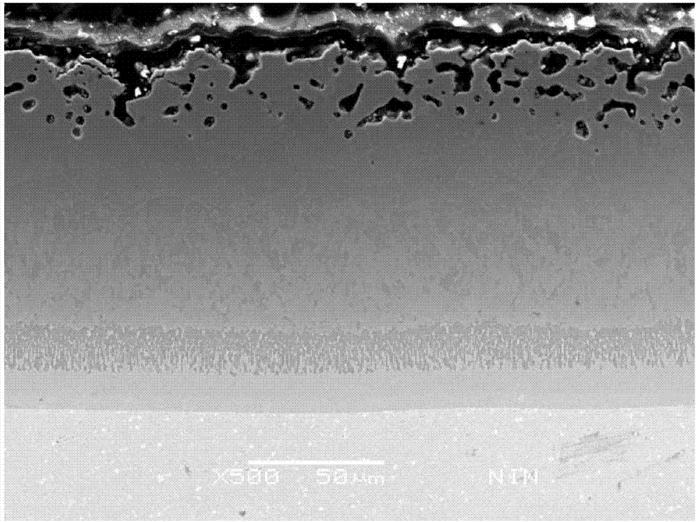 Zr modified silicide coating on refractory metal surface and preparation method thereof