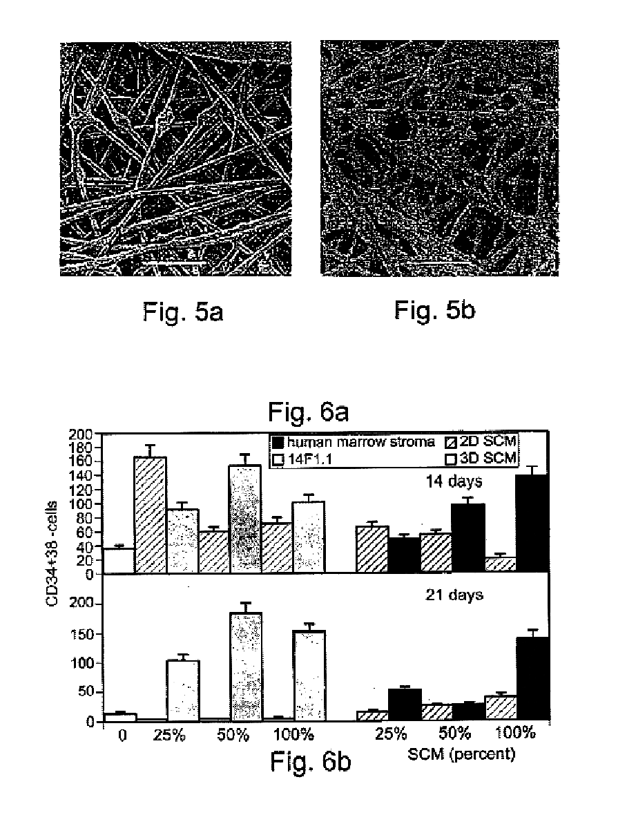 Method of producing undifferentiated hemopoietic stem cells using a stationary phase plug-flow bioreactor