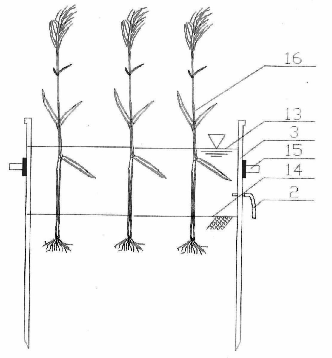 Multi-cylinder compensation type water surface evapotranspirometer and its use method