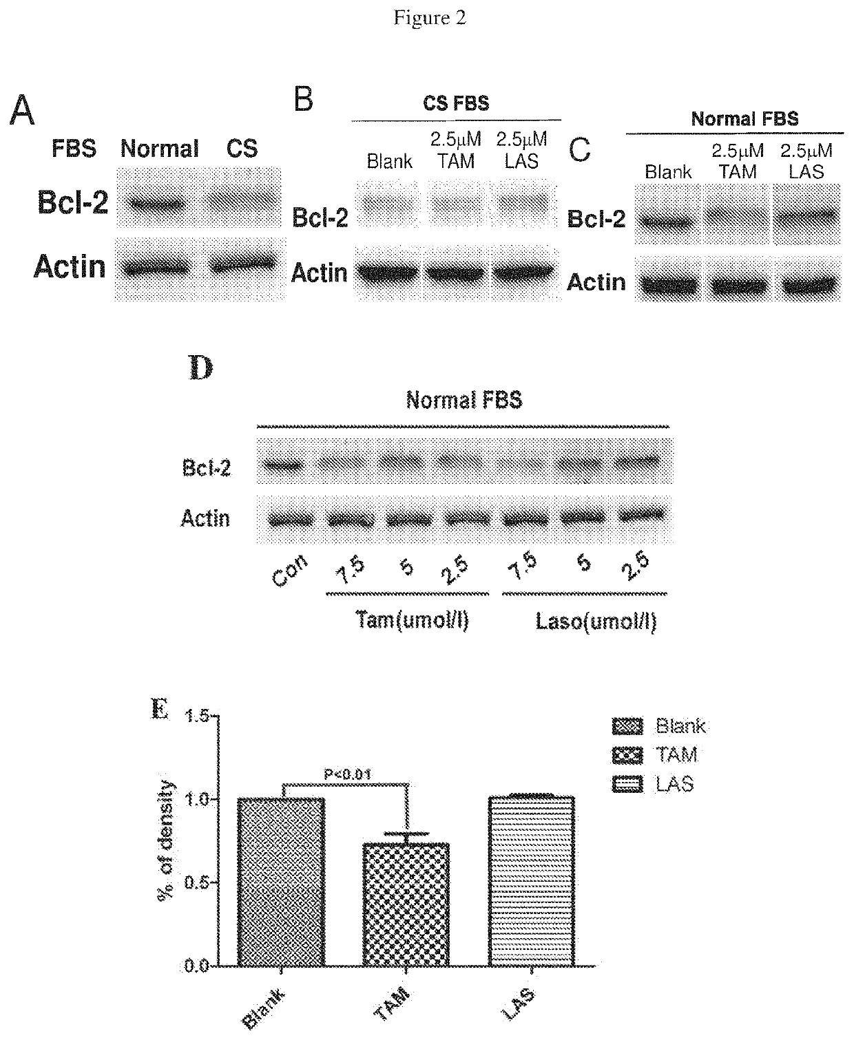 Lasofoxifene modulation of membrane-initiated estrogen signals and methods for tumor treatment