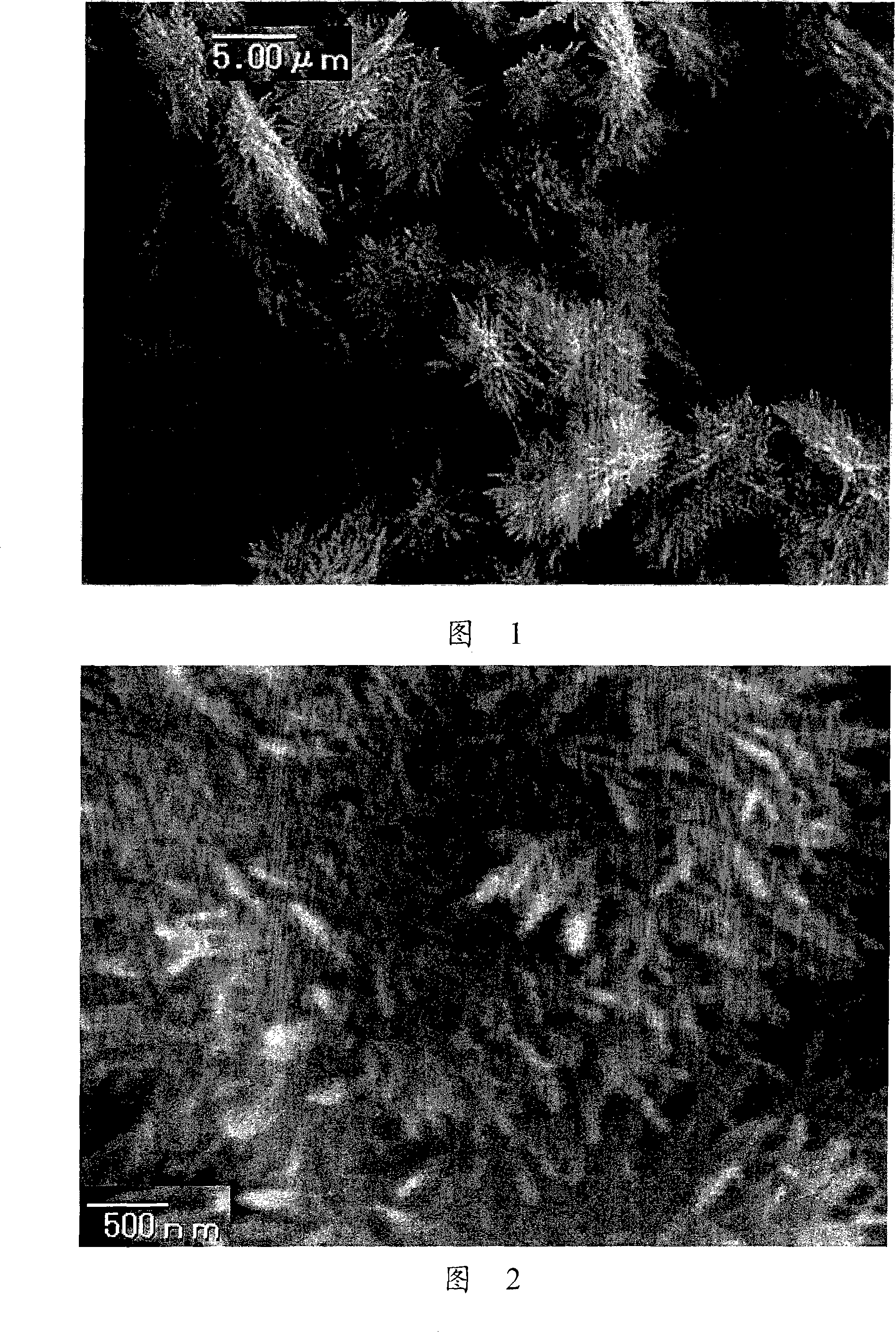 Minute particle with needlelike surface and its manufacturing method