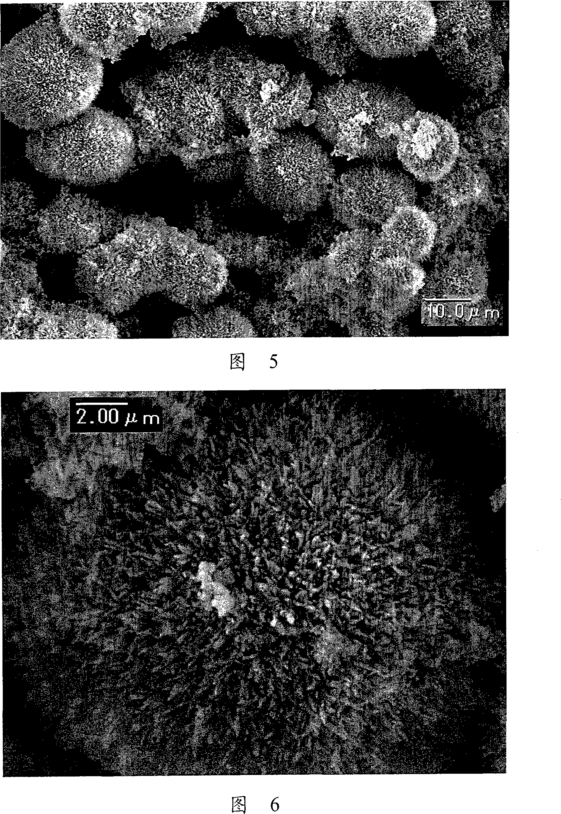 Minute particle with needlelike surface and its manufacturing method