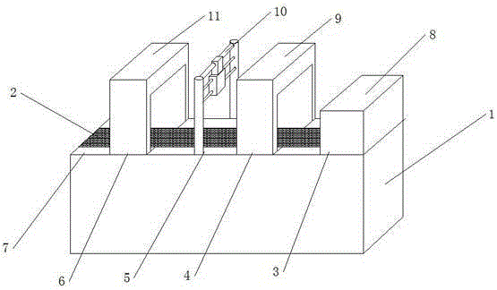 Automatic coloring machine