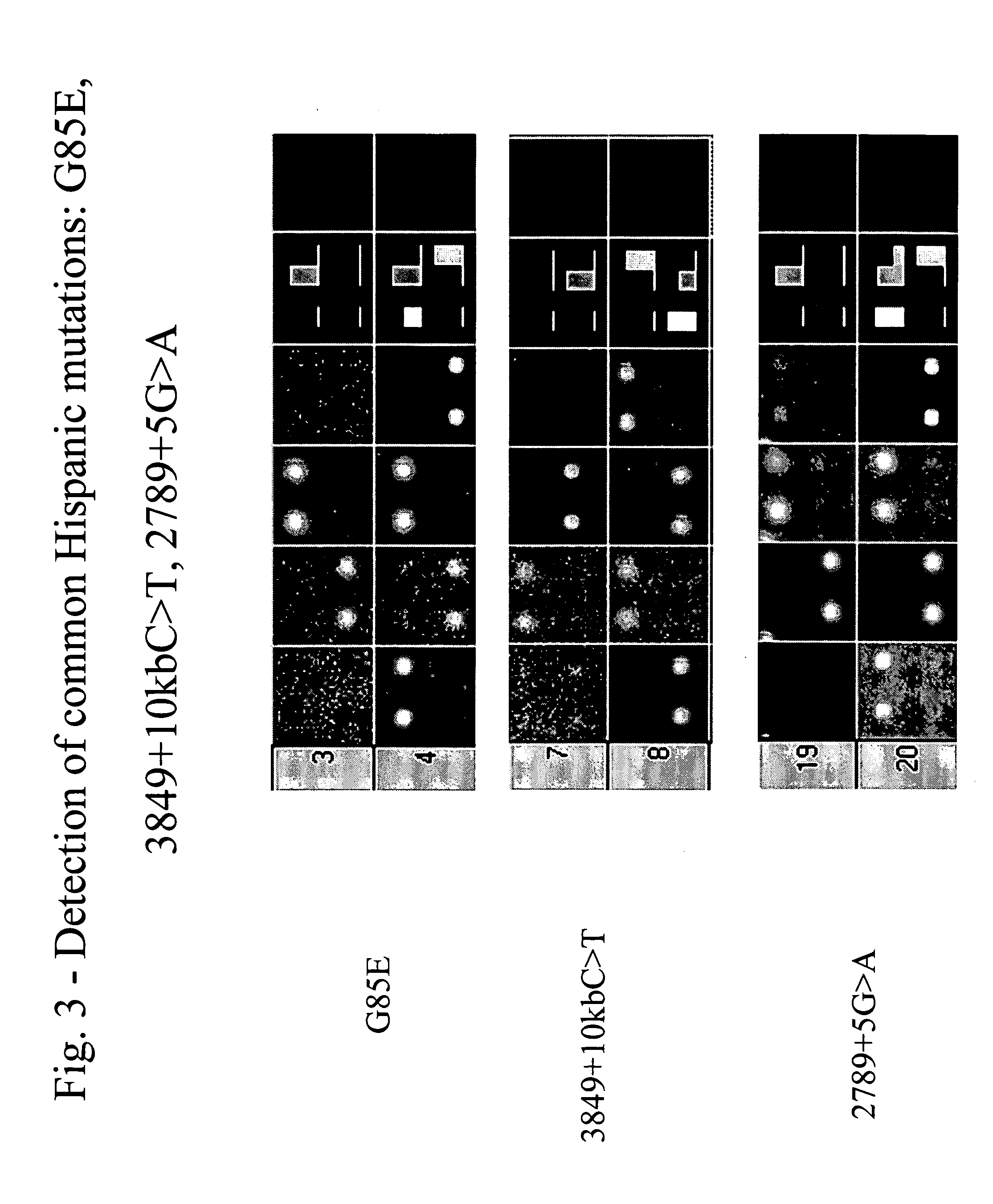 Methods and compositions for determining whether a subject carries a cystic fibrosis transmembrane conductance regulator (CFTR) gene mutation