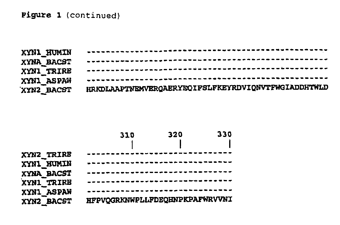Modified enzymes, methods to produce modified enzymes and use thereof