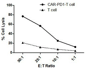 PD-1 CAR-T cell as well as preparation method and application thereof