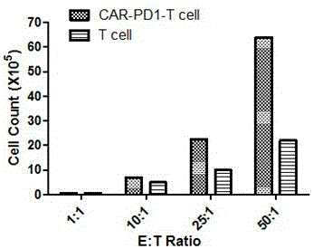 PD-1 CAR-T cell as well as preparation method and application thereof