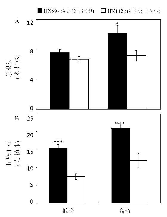 Malic acid transporter gene GmALMT1 and application thereof