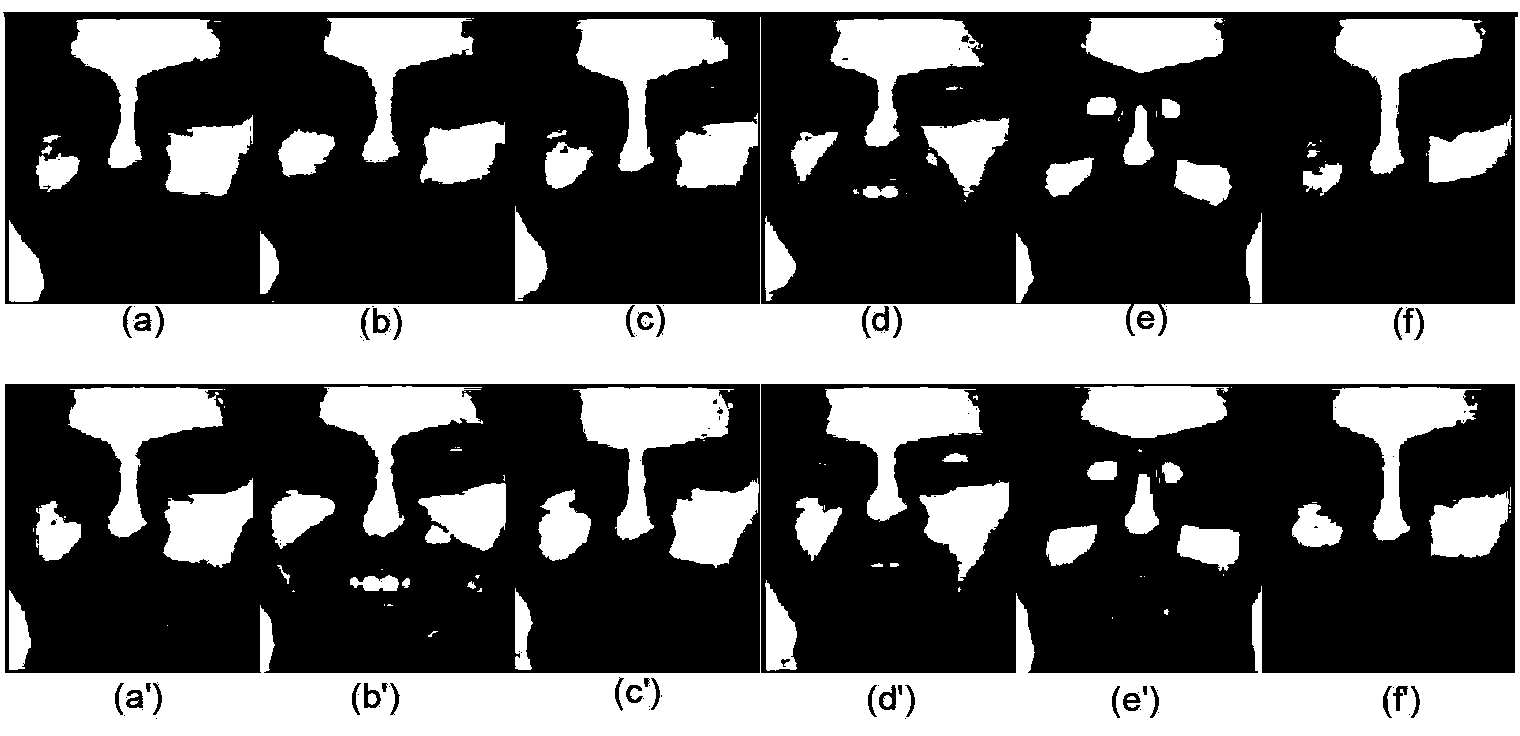 Single sample face recognition method based on face sparse descriptors