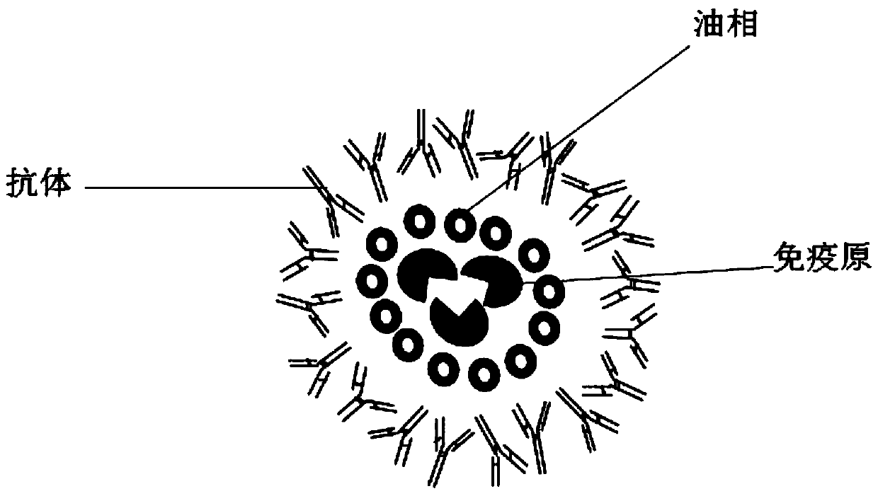 Immunogen and antibody composite vaccine and preparation method thereof