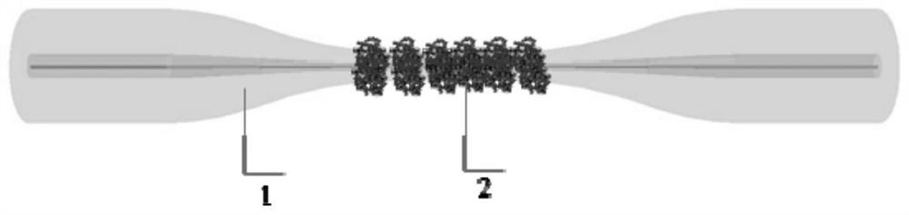 Acid phosphatase optical fiber biosensor as well as preparation method and application thereof