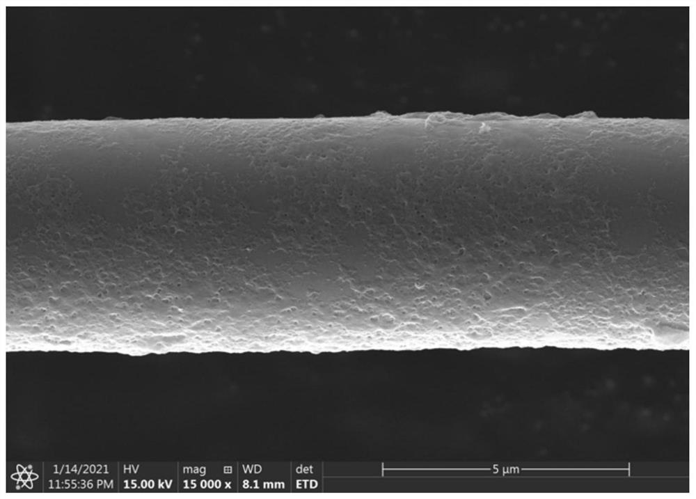 Acid phosphatase optical fiber biosensor as well as preparation method and application thereof