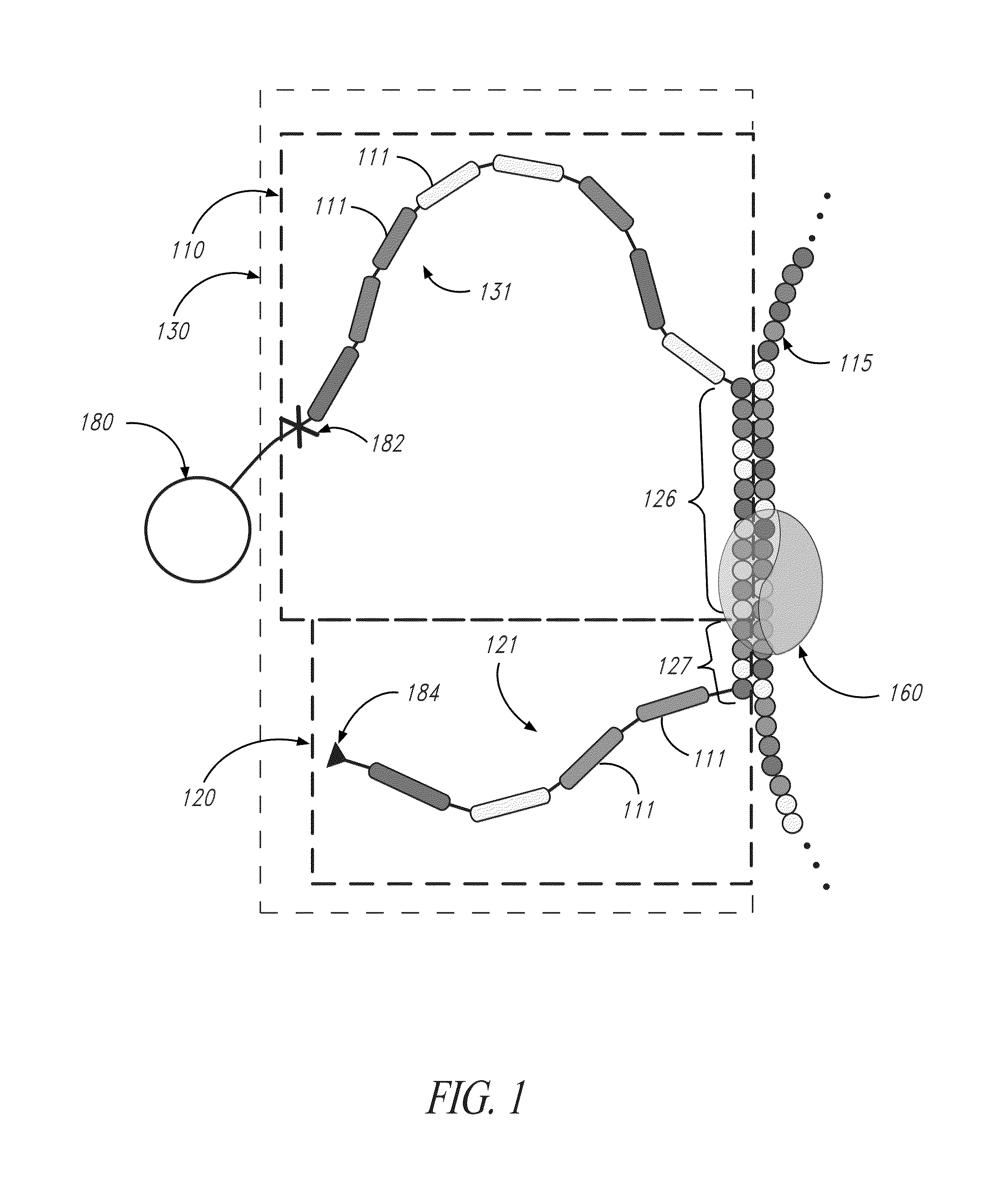 Multiplexed identification of nucleic acid sequences