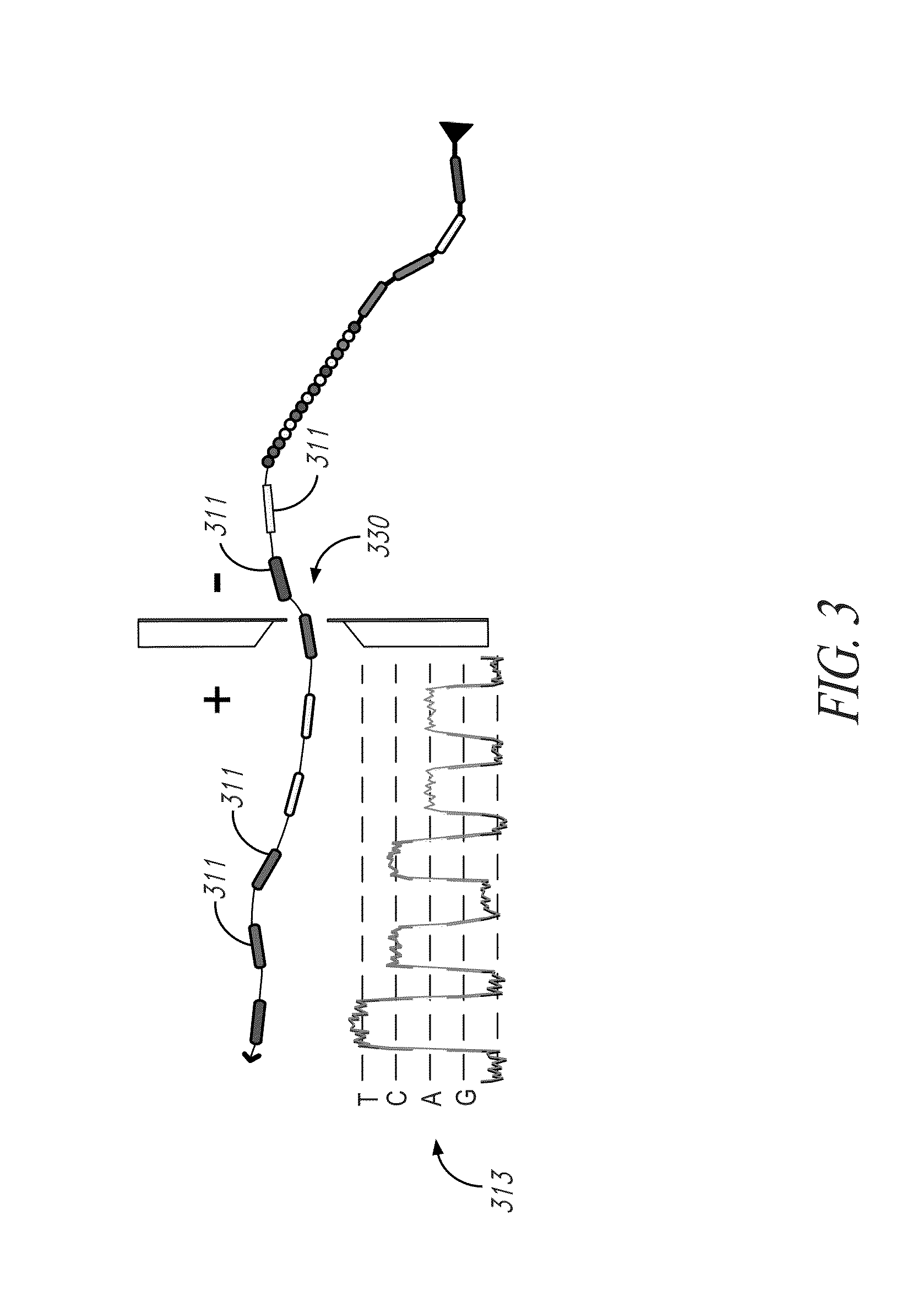 Multiplexed identification of nucleic acid sequences