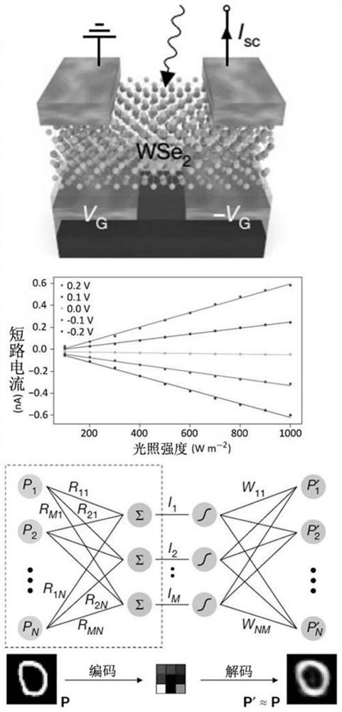 Neural network visual perception-oriented novel memory light responder and preparation method and application thereof