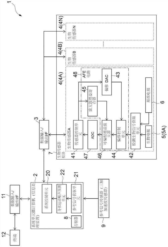 Information processing device, biodata measurement system, information processing method, and program