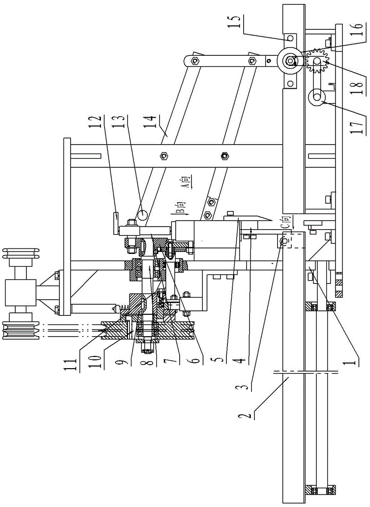 Sugarcane Tail Cutting Machine