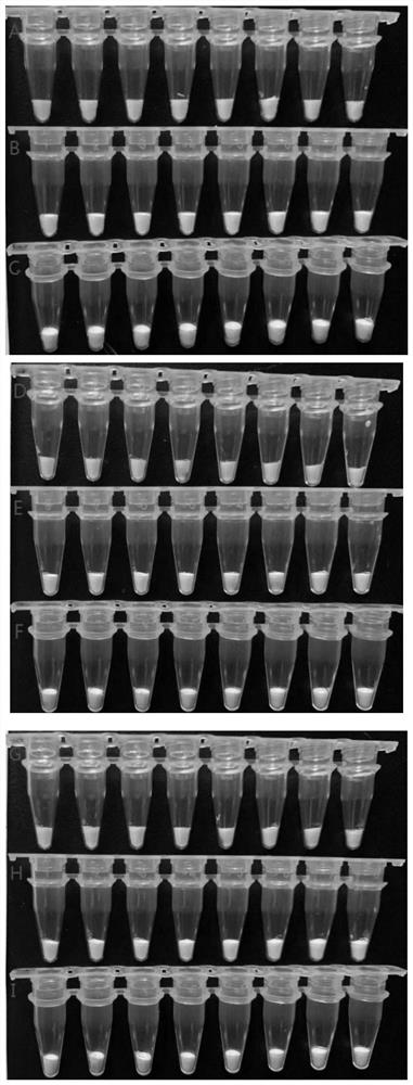 Freeze-drying protective agent of SNP detection reagent, and application