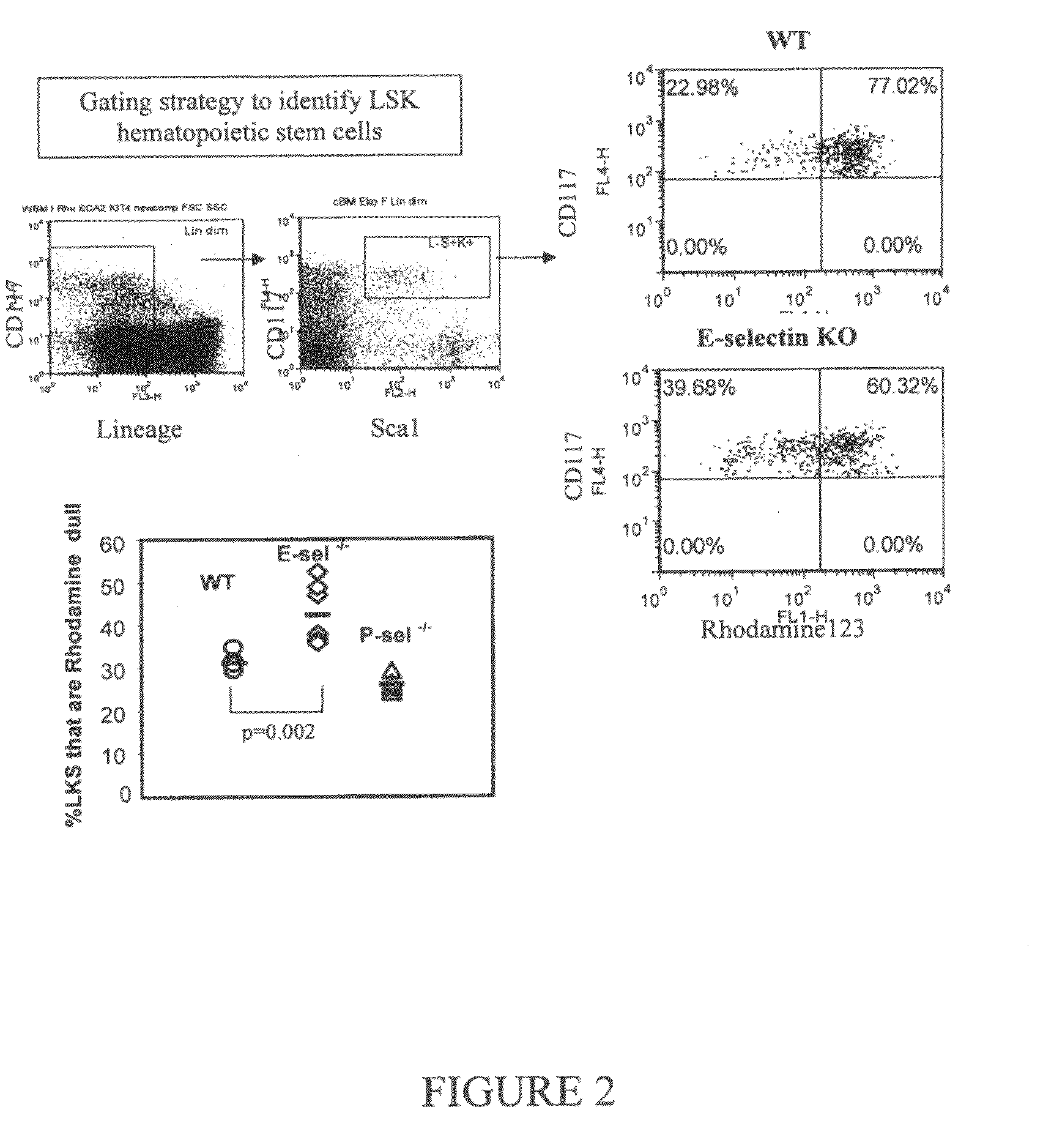 Compositions comprising E-selectin antagonists and uses therefor