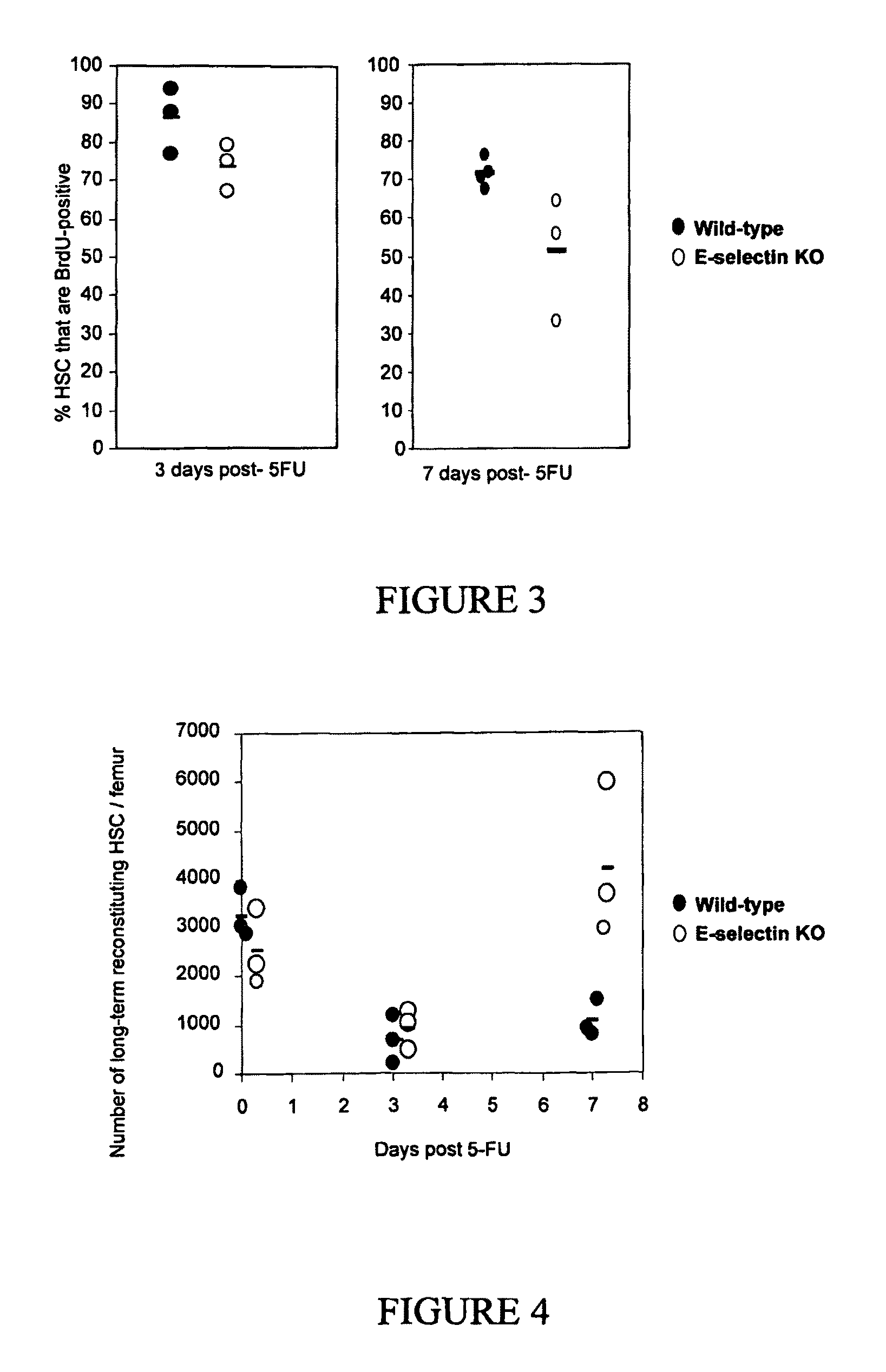 Compositions comprising E-selectin antagonists and uses therefor