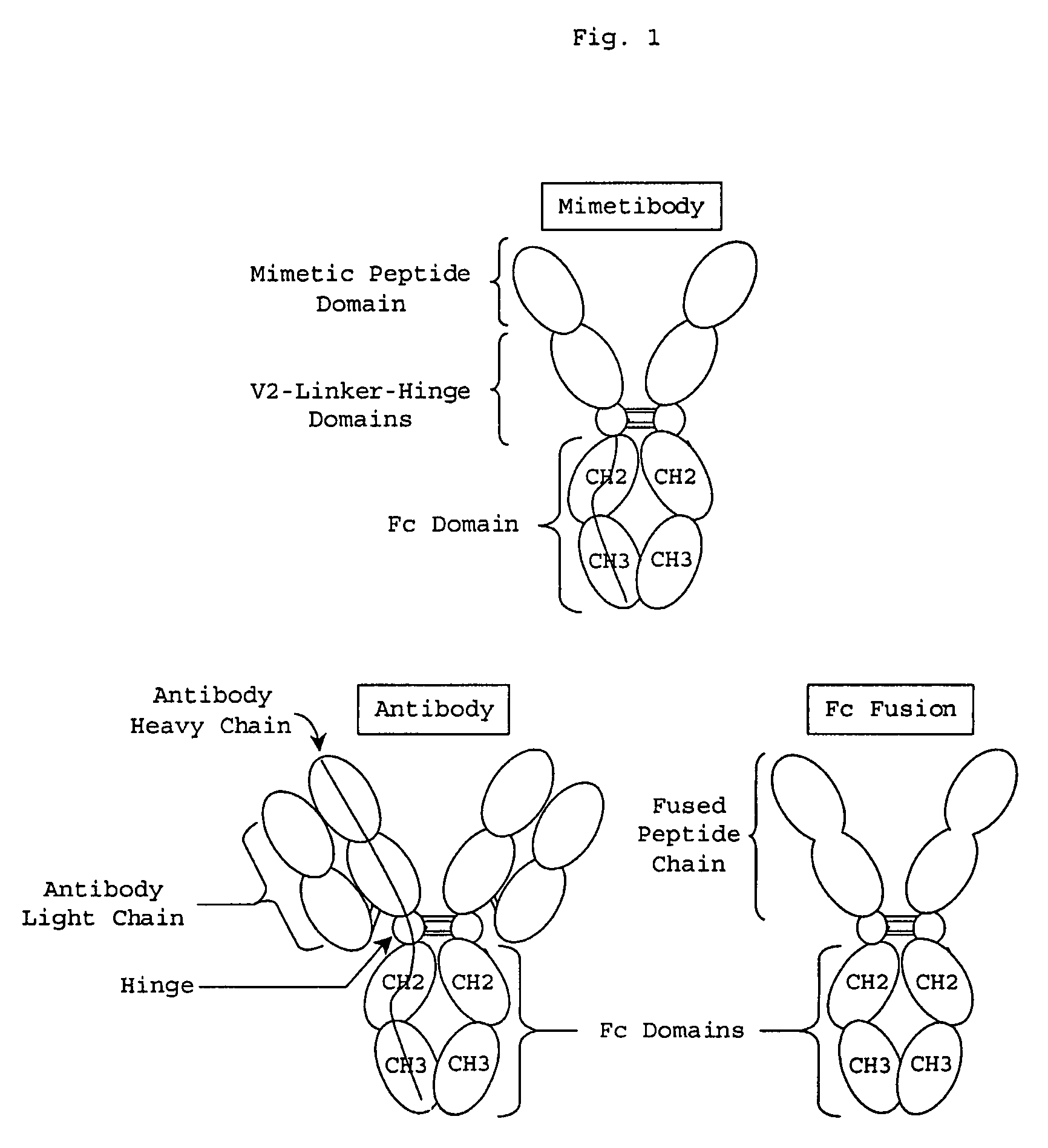 Process for preparing unaggregated antibody Fc domains