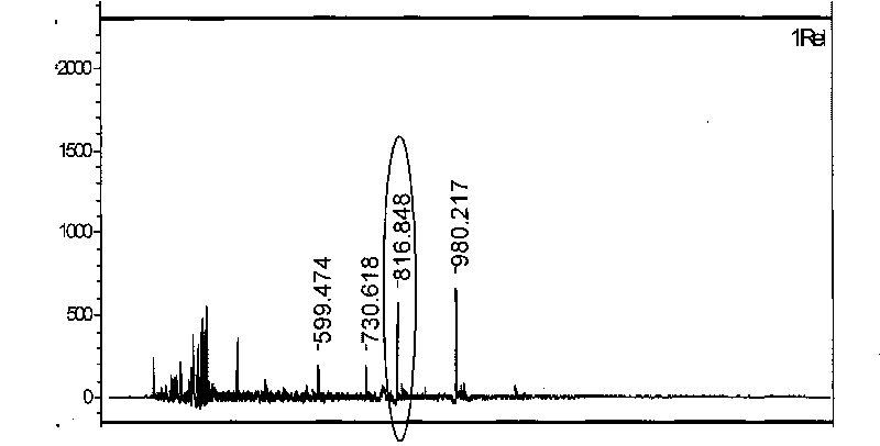 Method for photochemical cross-linking cell adhesion peptides on chitosan hydroxyl