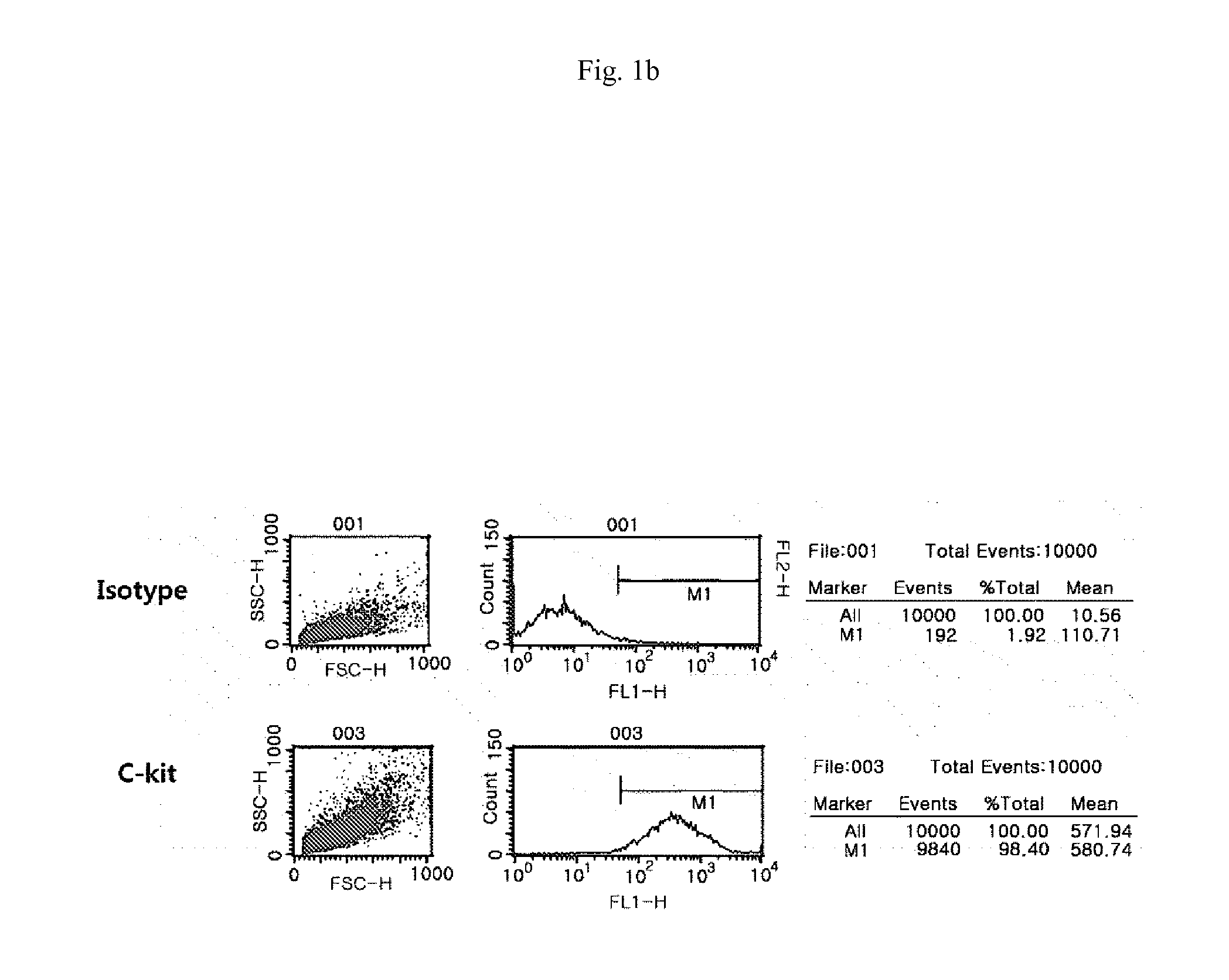 Agent for Treating Urinary Incontinence Including Stem Cells Derived from Amniotic Fluid