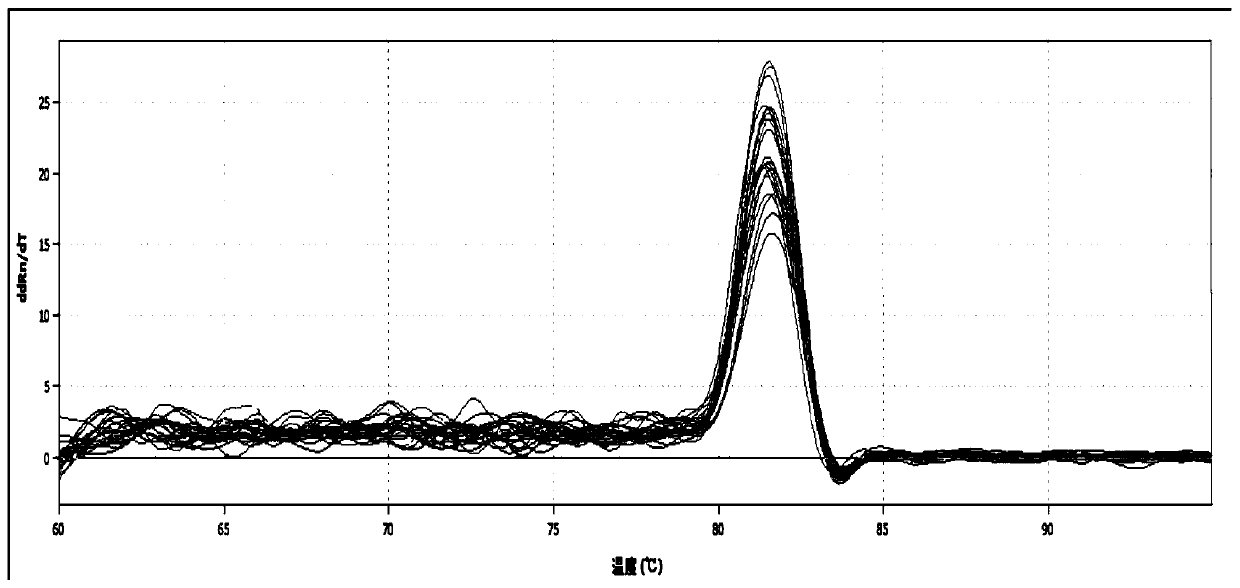 Passion flower reference gene as well as screening method and application thereof