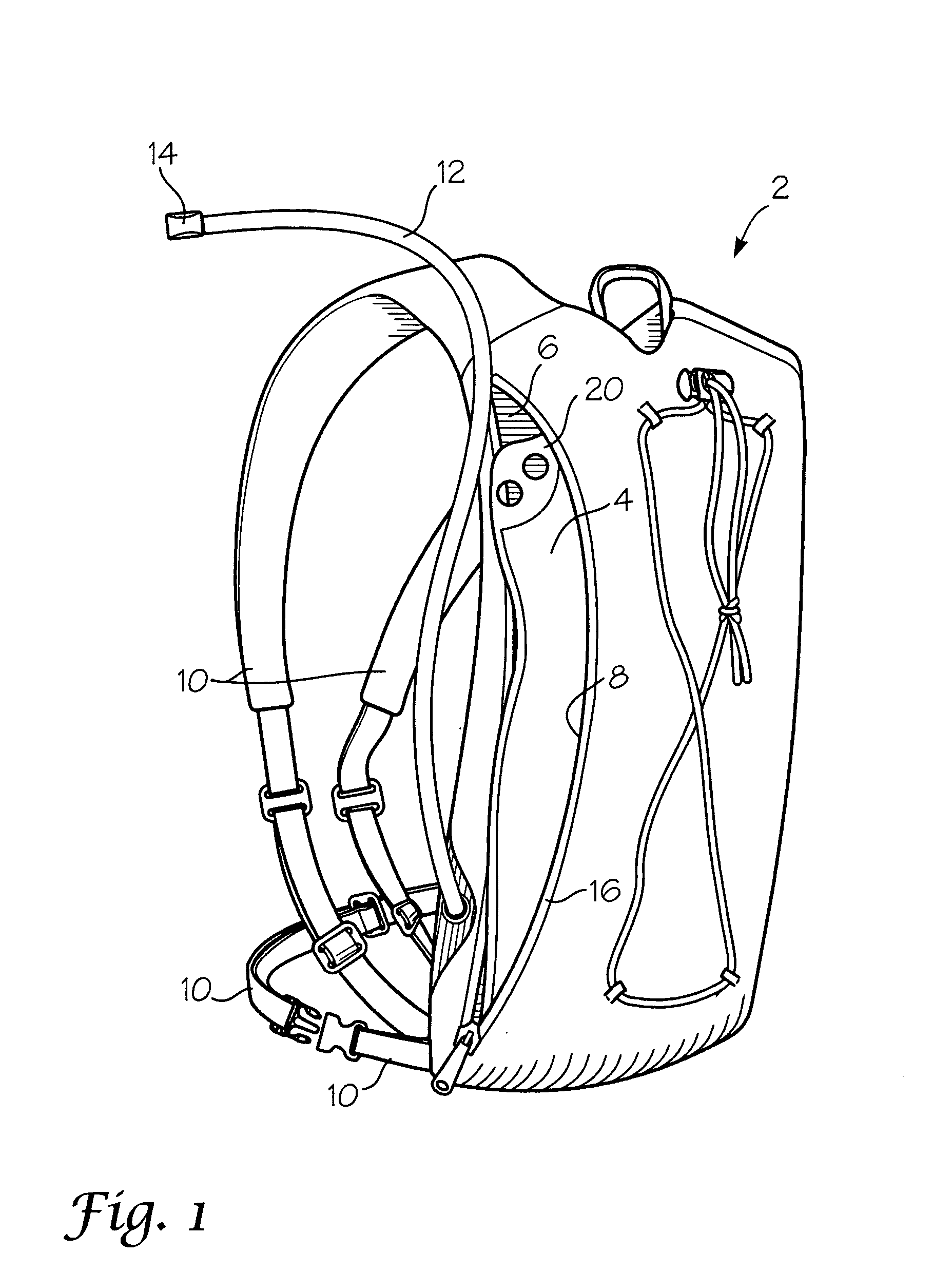 Disposable pouch hydration system