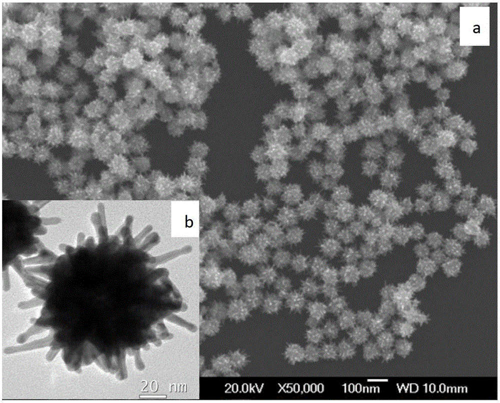 A kind of sea urchin-shaped hollow gold-silver alloy nanoparticles and preparation method and application thereof